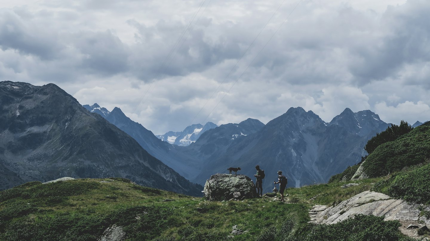 Wanderer und Hund beobachten schneebedeckte Berge von einem grasbewachsenen Hang aus.