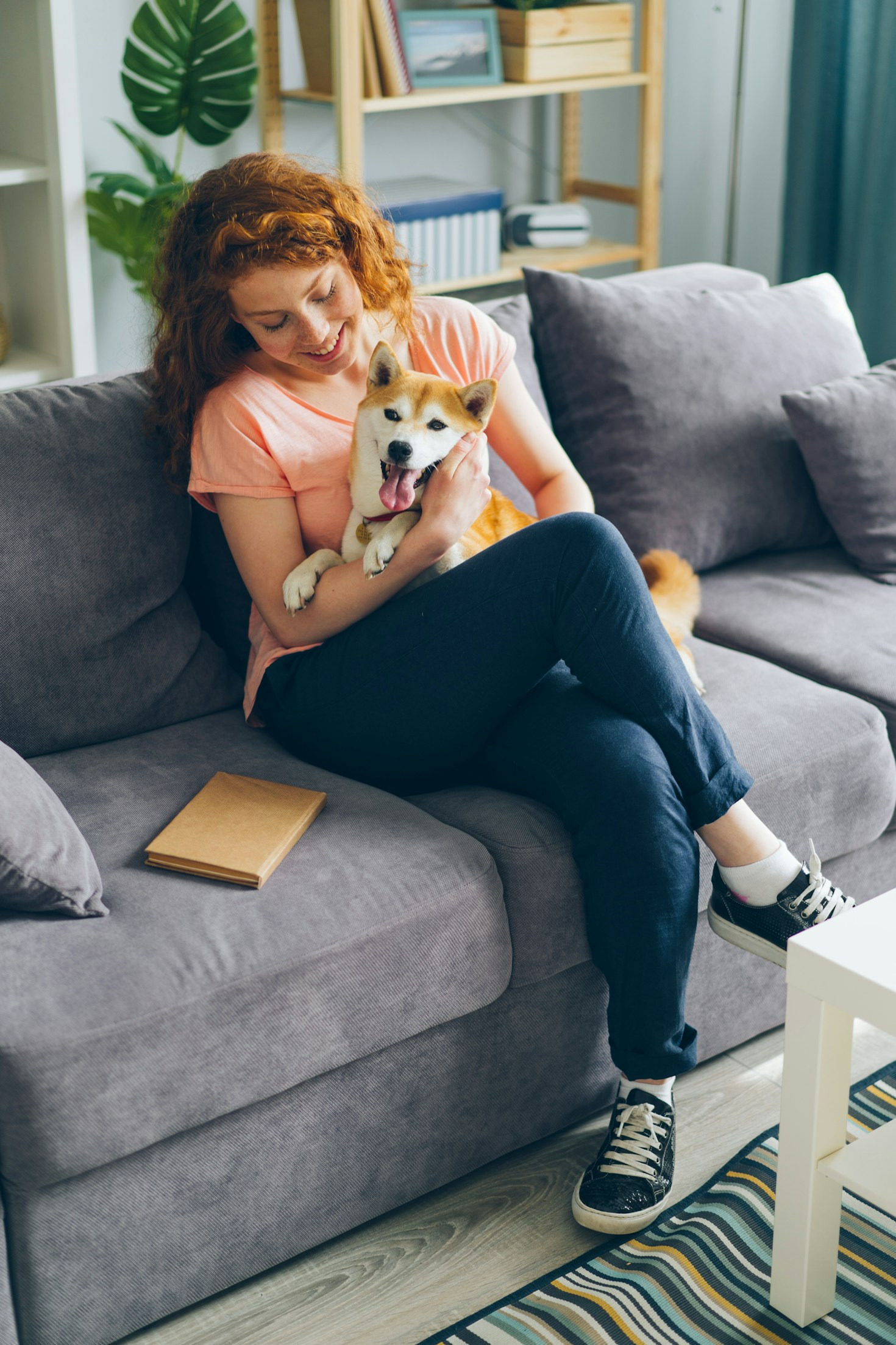 Fellpflege leicht gemacht: Tipps vom professionellen Hundefriseur